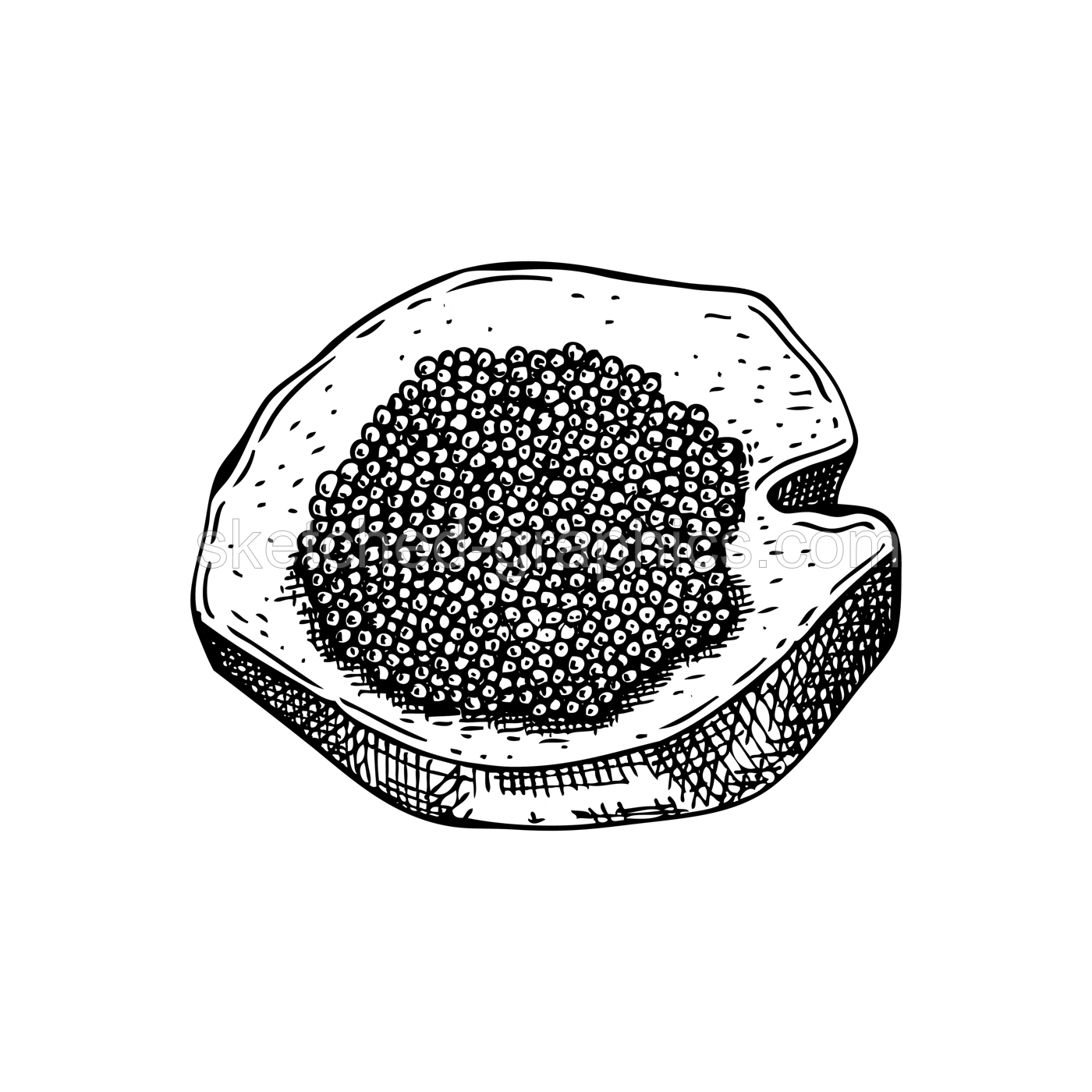 Hand-drawn sketch of caviar on a bread slice isolated on a white background. Black caviar canape vector drawing in engraved style. Seafood delicacy illustration for restaurant or finger food menu Illustration